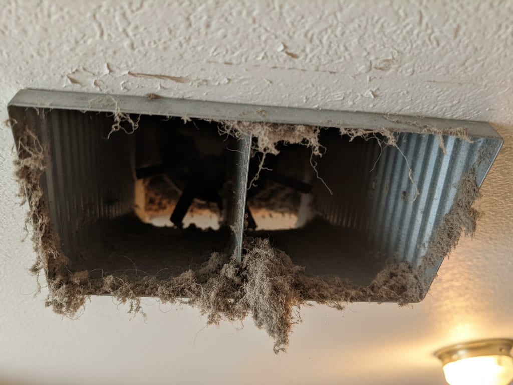 Signs Your Dryer Vent Needs Cleaning (Fire Prevention Guide for Bradenton), in-article photo